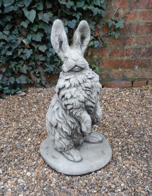 KA237 March Hare